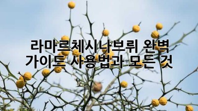 라마르체시나브뤼 완벽 가이드: 사용법과 모든 것